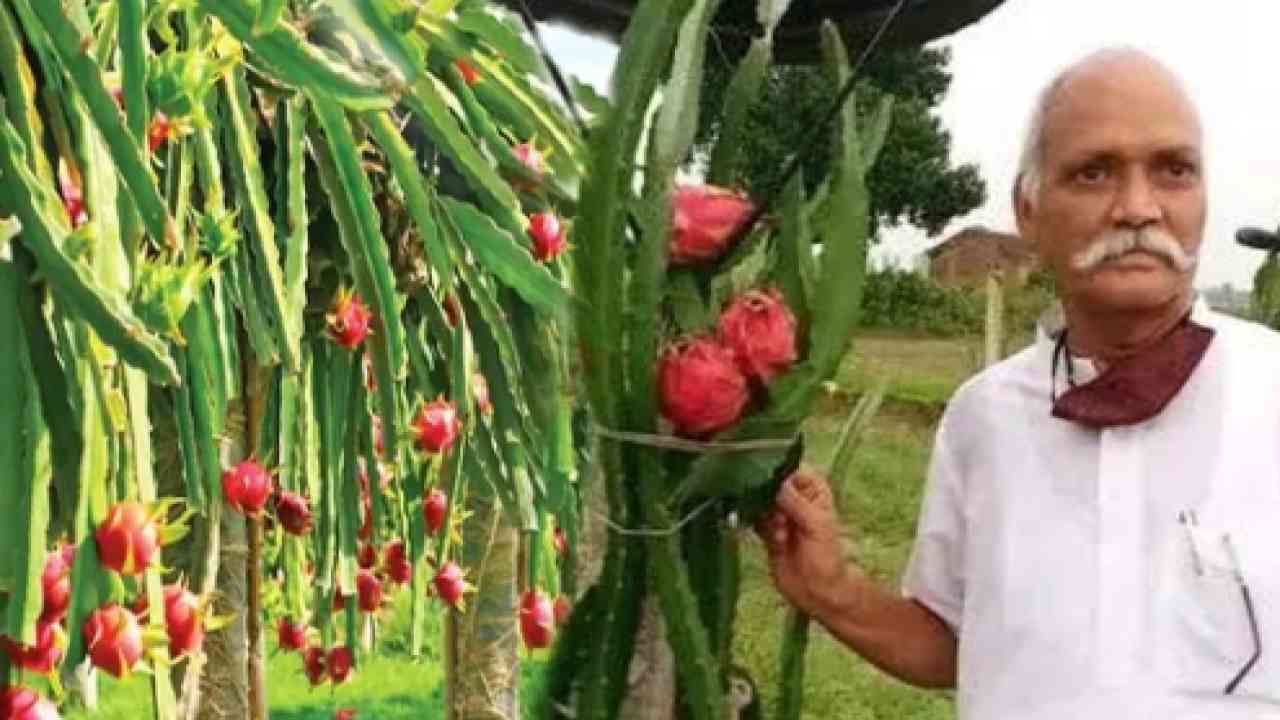 'ड्रैगन फ्रूट' की खेती कर प्रदेशभर में नाम कमा रहा ये किसान, सीएम योगी को भी फल कर चुका है भेंट