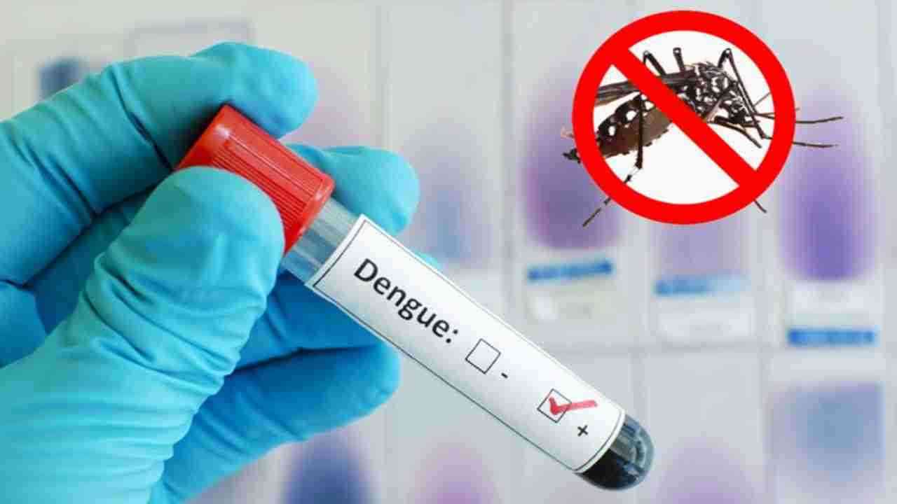 Dengue Case In Lucknow: लखनऊ में डेंगू से महिला की मौत, 1100 से अधिक मिले मरीज