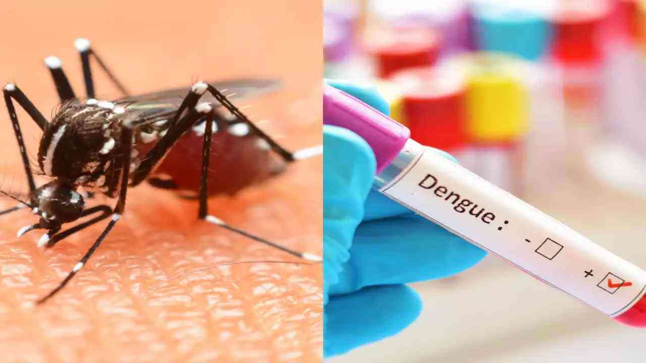 Dengue Case In Lucknow: लखनऊ में डेंगू के मिले  36 नए मरीज, स्वास्थ्य विभाग की बढ़ी चिंताएं